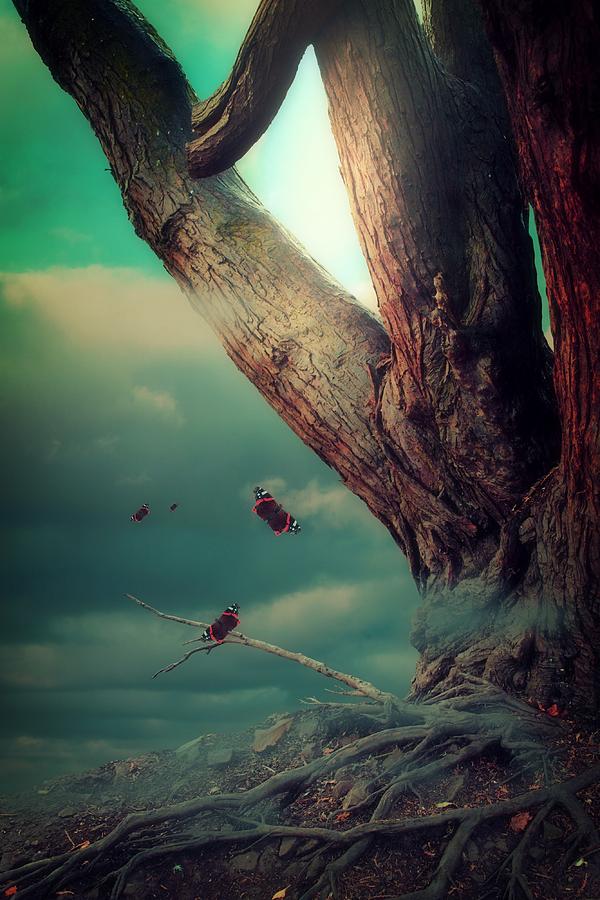 Best Palm Reading Astrologer in California