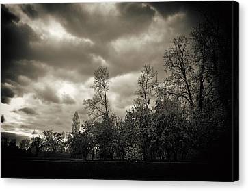 Best Psychic reader in California