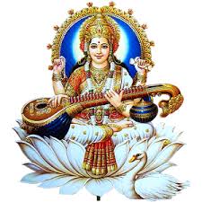 Best Indian Astrologer in California