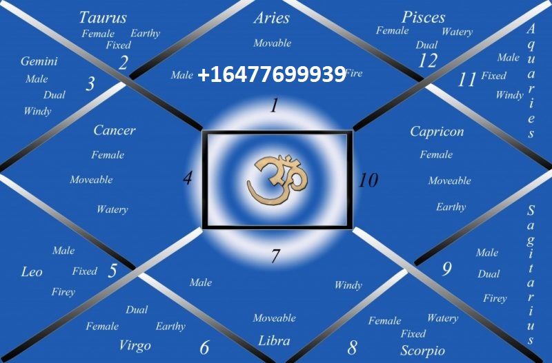 Accurate Astrologer in California