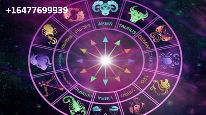 Love back Problem Solution in California